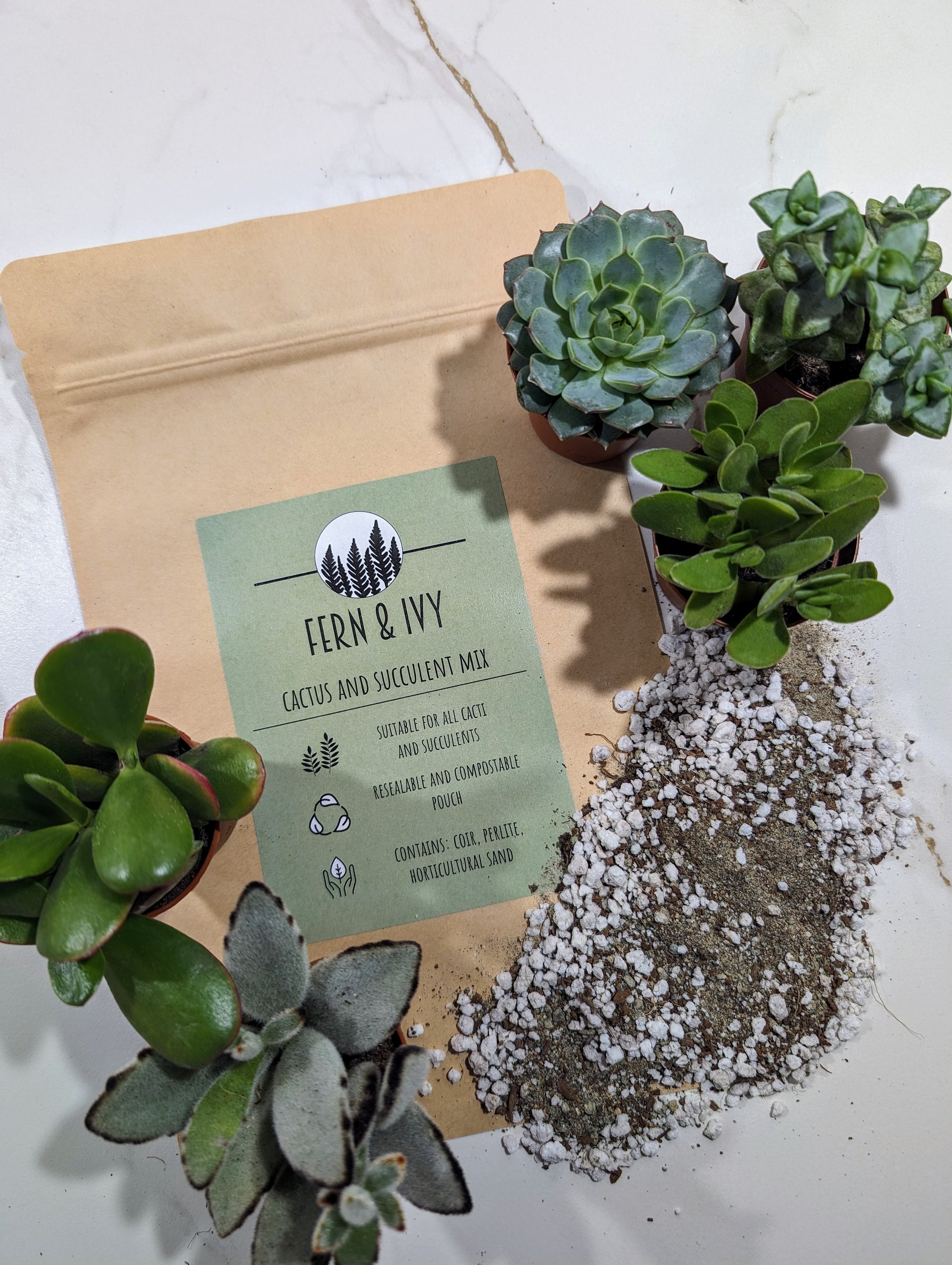 Cactus and succulent soil discount